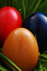 colorful eggs in nest made out of grass