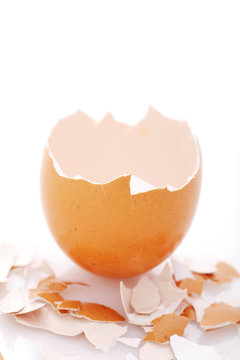 cracked egg on white background as a symbol for the great escape