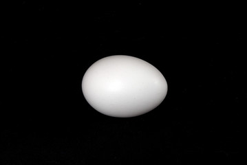 Fototapeta premium egg 