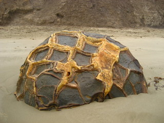 Moeraki Boulder ~ NZ