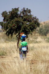 Transport de brousse
