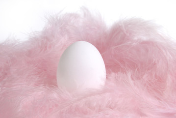 Nest