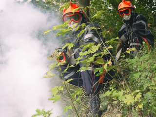 sapeurs pompiers feu de foret protection