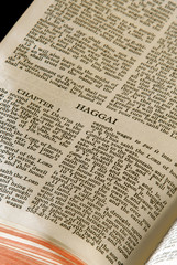 holy bible open to the book of Haggai in the old testament