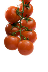 Hanging tomatoes with water drops on white background