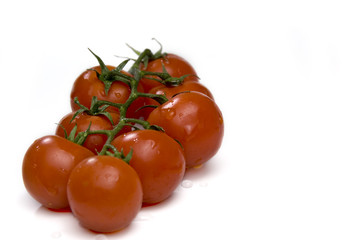 Tomatoes with water drops on white background