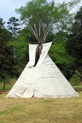 Deurstickers Native American Tipi aan de rand van een weiland © EyeMark