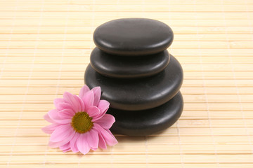 pebbles stack with pink daisy - health care