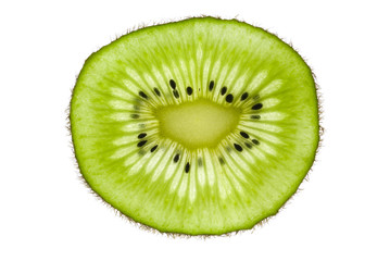 A slice of kiwi fruit backlit to show detail and structure