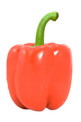 Red pepper isolated on white background