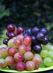 colorful grapes