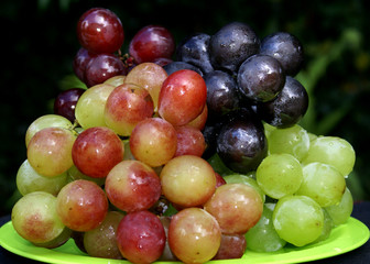 Naklejka na ściany i meble grape fruit