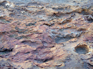 Jumbo, from the Trinity nuclear bomb test site near Socorro, NM