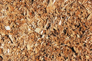 Wood chips