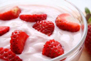Erdbeeryorgurt