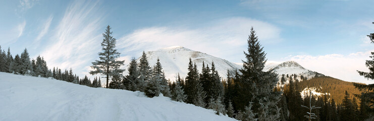 Fototapeta na wymiar Winter morning mountain landscape with cirrus clouds 