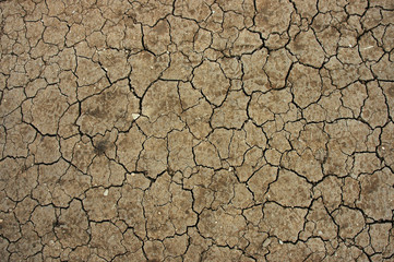 dry desert