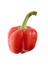 series object on white - food - cayenne on white
