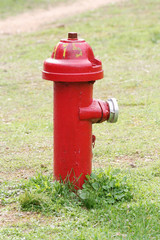 Fototapeta na wymiar A red fire hydrant in a park