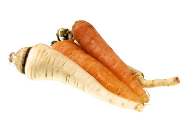 Carrots & Parsnips