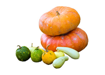potirons et courges