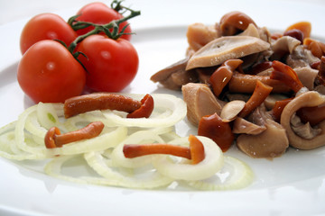 Gemischte Pilze