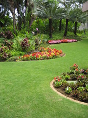 Hawaii Garden