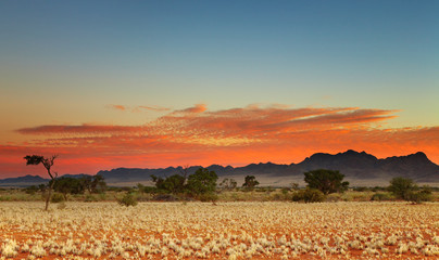 Colorful sunset in Kalahari Desert, Namibia - 6081955