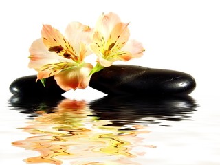  ambiance zen et bien-être