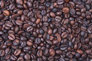 coffea