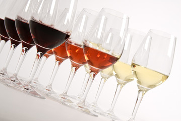 Wine Tasting