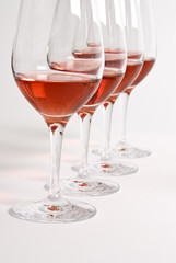 Wine Tasting