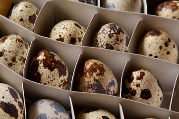 quail eggs
