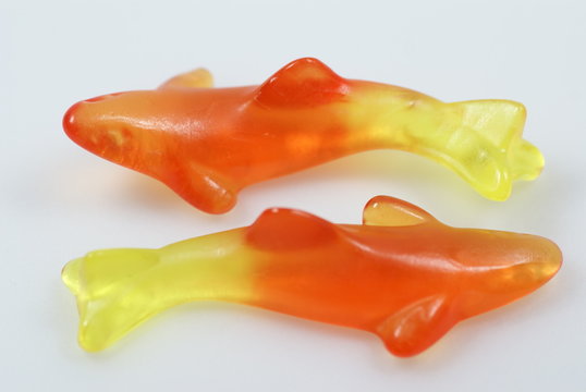 Gummib&auml;rchen