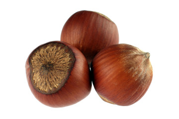 Hazel nut group isolated on white background