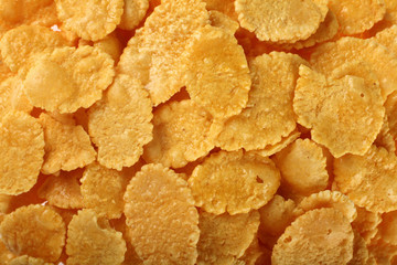 flake corn group isolated on white background