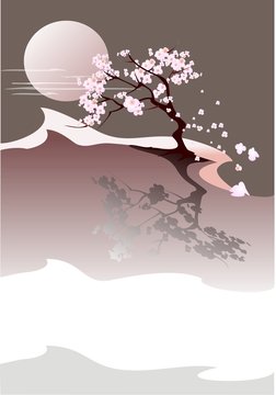 Spring comes