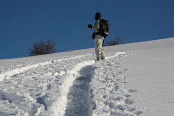 La montagne en raquettes