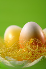 Funny easter eggs on green backgroung.