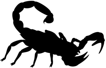 scorpion silhouette vector