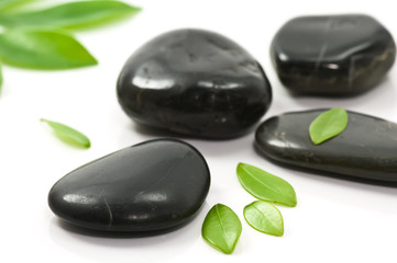 Therapy stones