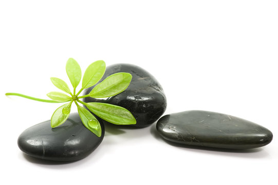 Therapy stones