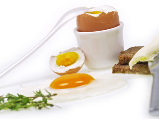 gekochtes ei u. spiegelei