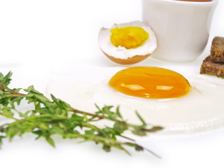 gekochtes ei u. spiegelei