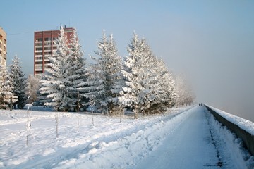 Snow-covered path