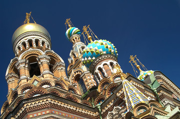 cathedral in petersburg