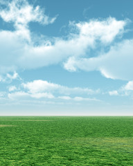 Fototapeta premium Spring landscape