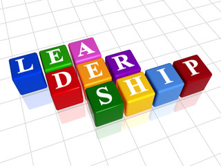 3d colour boxes with text - leadership, word
