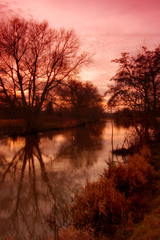 Fototapeta na wymiar River and Tree