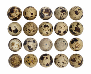 Twenty quail eggs top view isolated on white with clipping path
